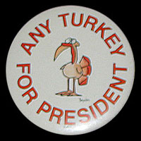 Any Turkey for President