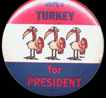 Any Turkey for President