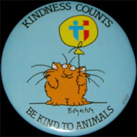 Kindness Counts - Be Kind To Animals